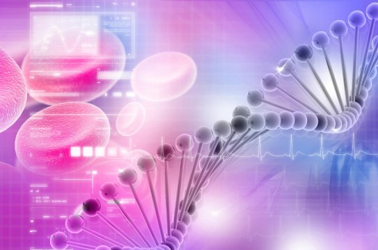 Dna-Blood-Cells-Science-Background